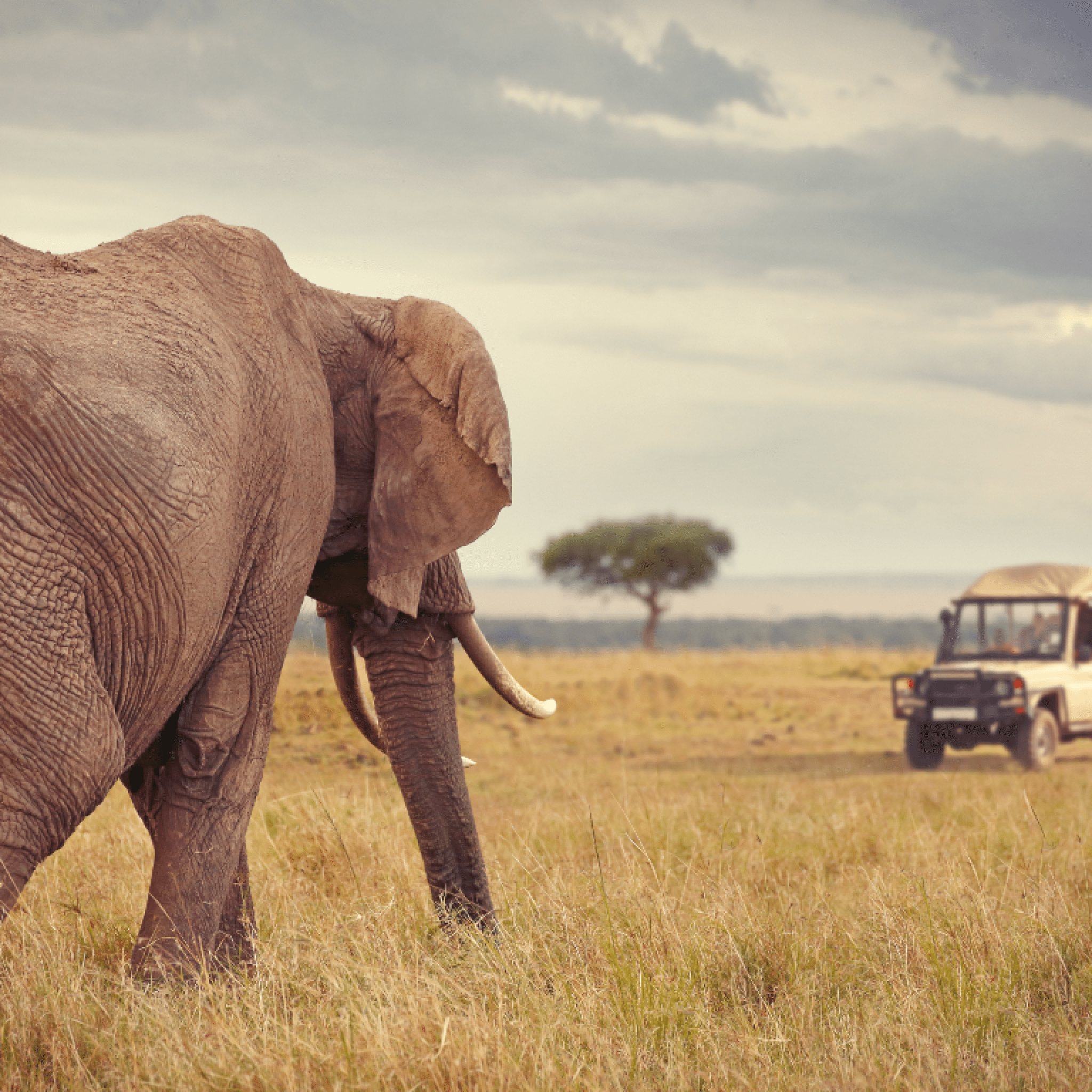 Travel-Poster-Website-2-1-2048x2048