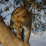 hidde-rensink-Erzyy3Gy2LU-unsplash-scaled